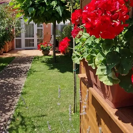 Villa Viola Spa&Garden Gyula Room photo